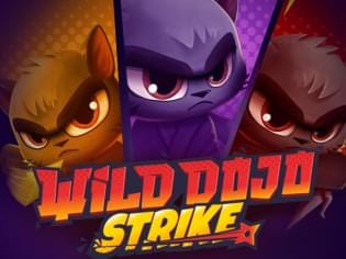 Wild Dojo Strike game thumbnail